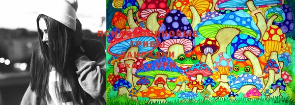 стафф Россошь